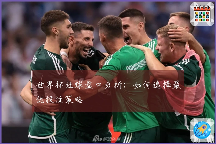 世界杯让球盘口分析：如何选择最优投注策略