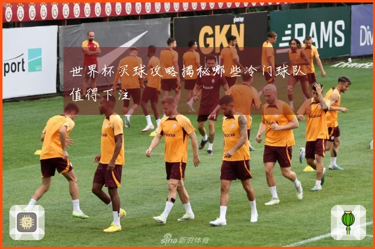 世界杯买球攻略揭秘哪些冷门球队值得下注