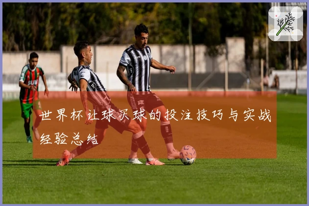 世界杯让球买球的投注技巧与实战经验总结