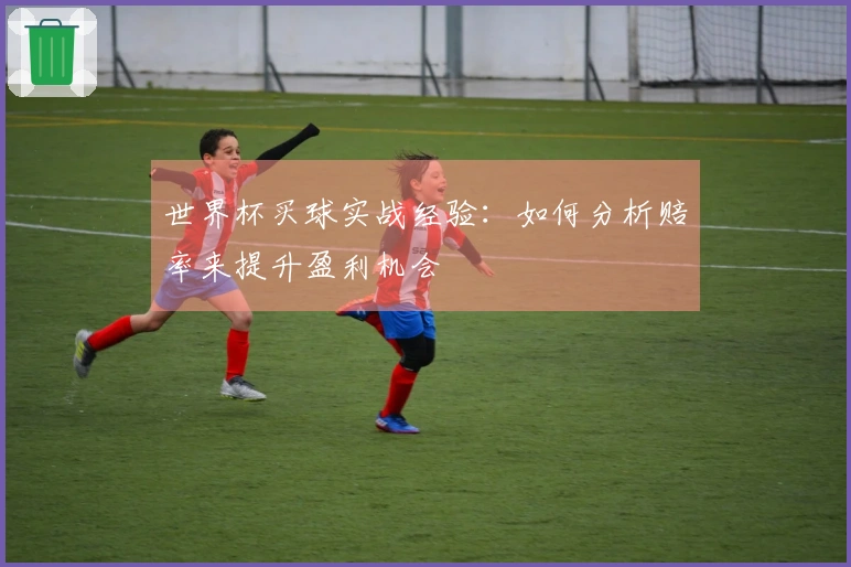 世界杯买球实战经验：如何分析赔率来提升盈利机会
