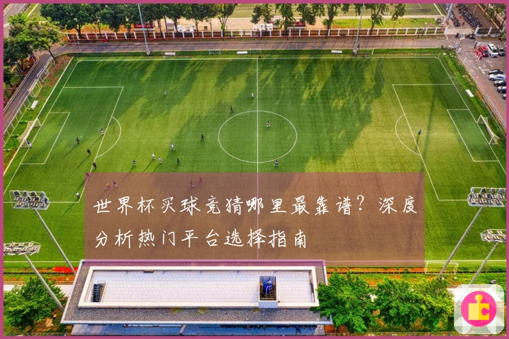 世界杯买球竞猜哪里最靠谱？深度分析热门平台选择指南