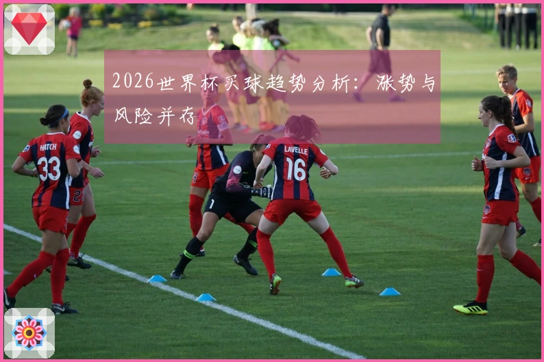 2026世界杯买球趋势分析：涨势与风险并存