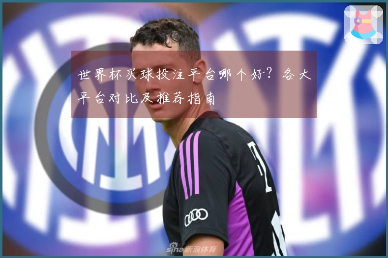 世界杯买球投注平台哪个好？各大平台对比及推荐指南