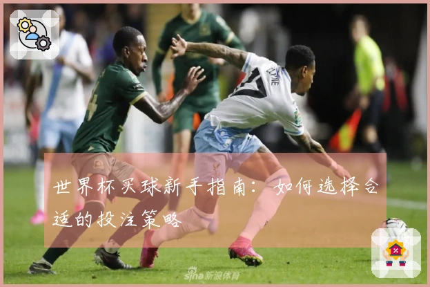 世界杯买球新手指南：如何选择合适的投注策略
