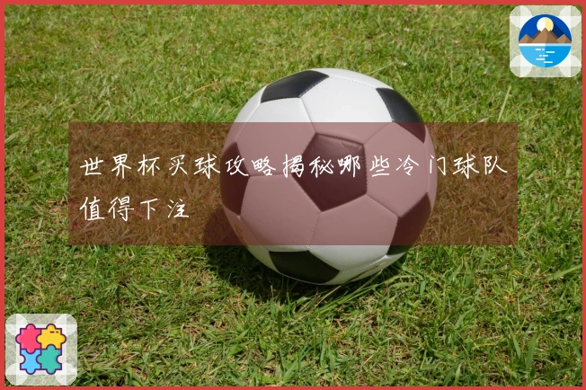 世界杯买球攻略揭秘哪些冷门球队值得下注