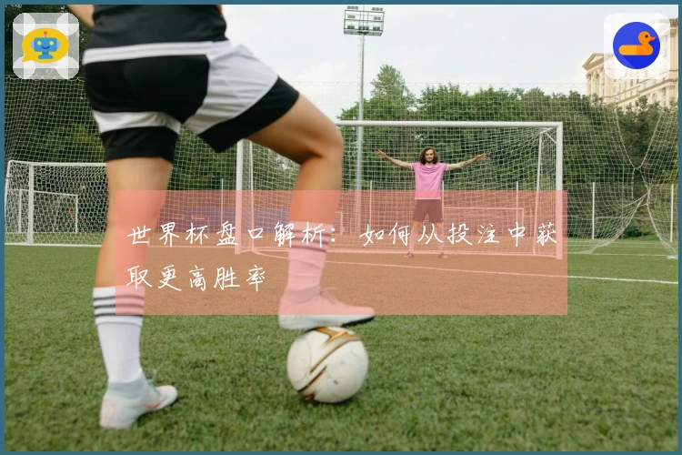 世界杯盘口解析：如何从投注中获取更高胜率