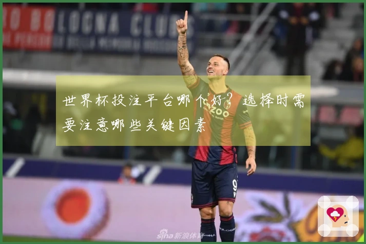 世界杯投注平台哪个好？选择时需要注意哪些关键因素