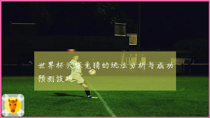 世界杯买球竞猜的玩法分析与成功预测技巧