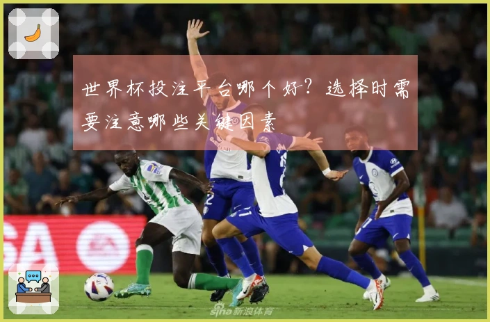 世界杯投注平台哪个好？选择时需要注意哪些关键因素