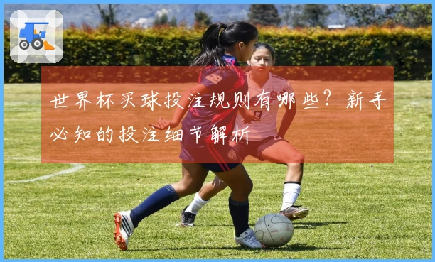 世界杯买球投注规则有哪些？新手必知的投注细节解析