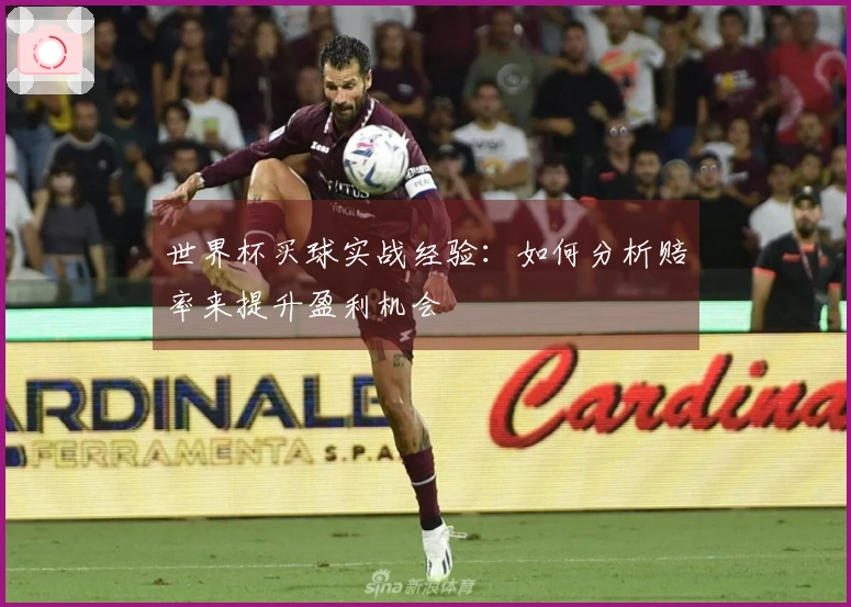 世界杯买球实战经验：如何分析赔率来提升盈利机会