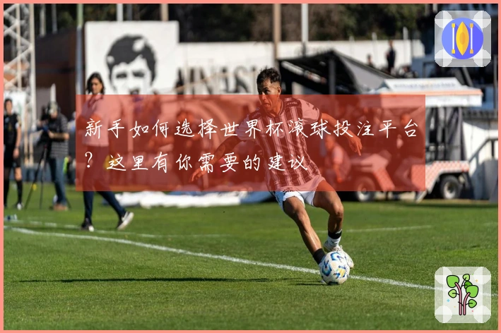 新手如何选择世界杯滚球投注平台？这里有你需要的建议
