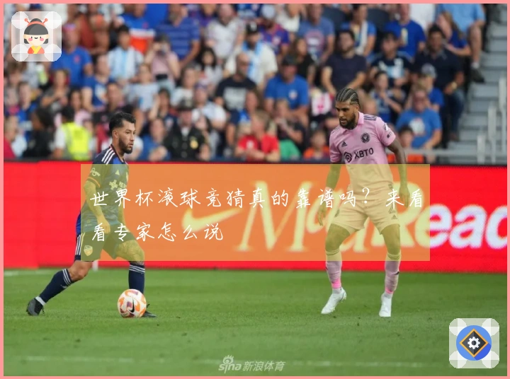 世界杯滚球竞猜真的靠谱吗？来看看专家怎么说