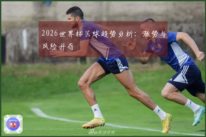 2026世界杯买球趋势分析：涨势与风险并存